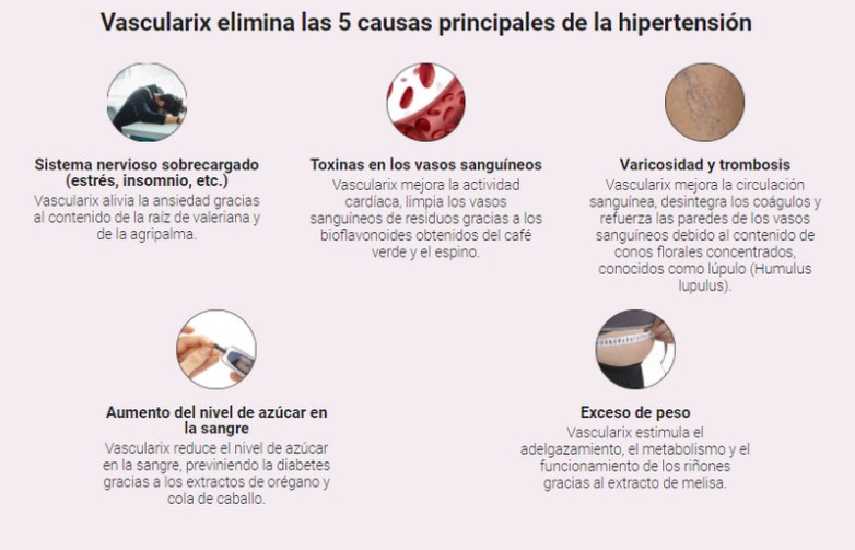 Revisión de Vascularix